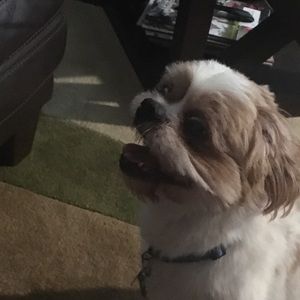 Meet your Posher, Luke